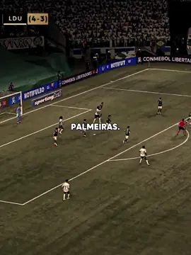 EU AMO A SOCIEDADE ESPORTIVA PALMEIRAS 💚💚💚😍😍😭😭 #libertadores #ldu #palmeiras #virada #foryoupage 