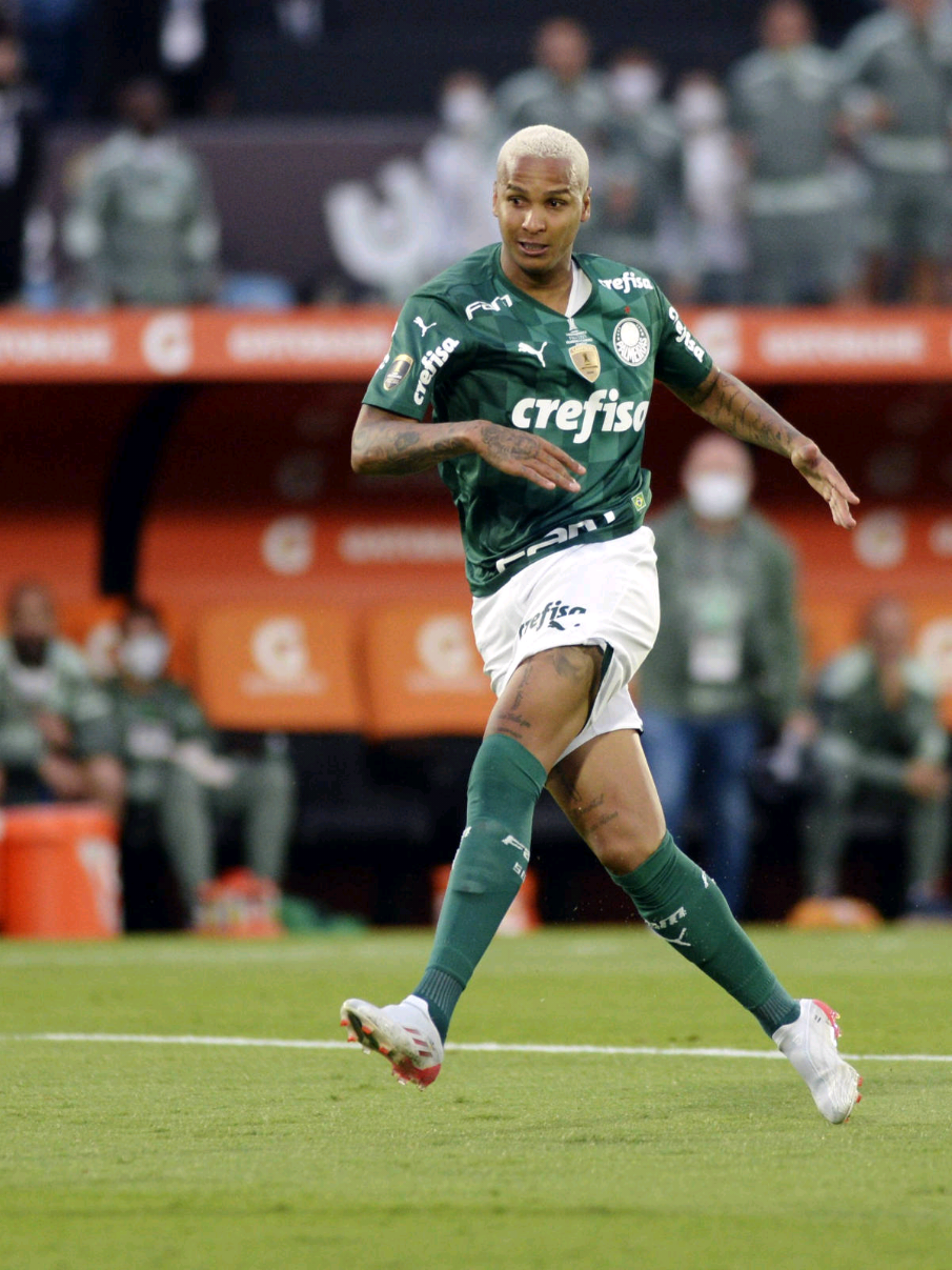 um beijo flamenguistas🤭🤣🤣 #palmeiras #libertadores  #fyp #futebol #foryoupage 