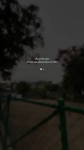 ඉන්නවද හලොව් හදිස්සියක් 😪😩. #fyp #fypシ゚ #fypppppppppppppppppppp #viral #viralvideo 