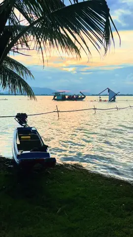 Nước sắp rút chuẩn bị cho mùa vụ mới! #caphenhaque  #67angiang  #hoanghon  #viraltiktok 