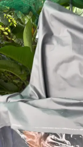 Áo mưa cánh dơi phong cánh size to 7XL bạt cao su trượt nước chống thấm 