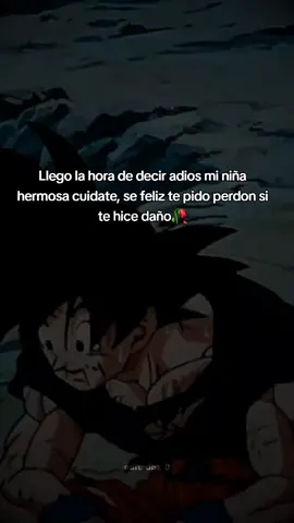 despidete de ella🥀🥀 #dragonballfrases #triste💔 #vira #tendencia #paratii 