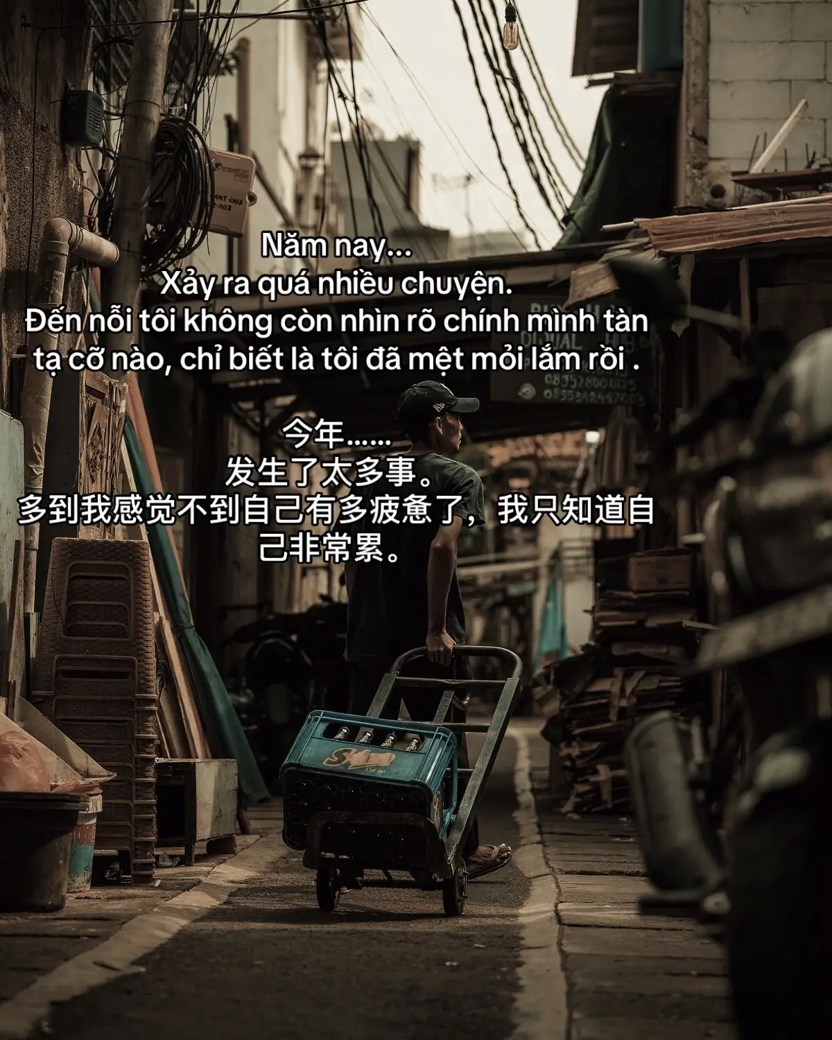Năm nay... Xảy ra quá nhiều chuyện. Đến nỗi tôi không còn nhìn rõ chính mình tàn tạ cỡ nào, chỉ biết là tôi đã mệt mỏi lắm rồi . 今年…… 发生了太多事。 多到我感觉不到自己有多疲惫了，我只知道自己非常累。#fypシ゚ #nthientun #doisong #tamtrang #xuhuongtiktok 