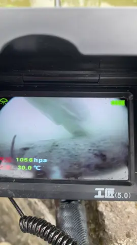 Cuốn ổ rồi các bác ơi #cameracauca #cauca #xuhuongtiktok #xuhuong #tiktok 