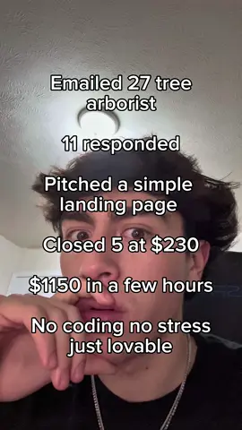 Lovable is the new method😭 #fypシ゚viral #fyppppppppppppppppppppppp #landingpages #website #online 