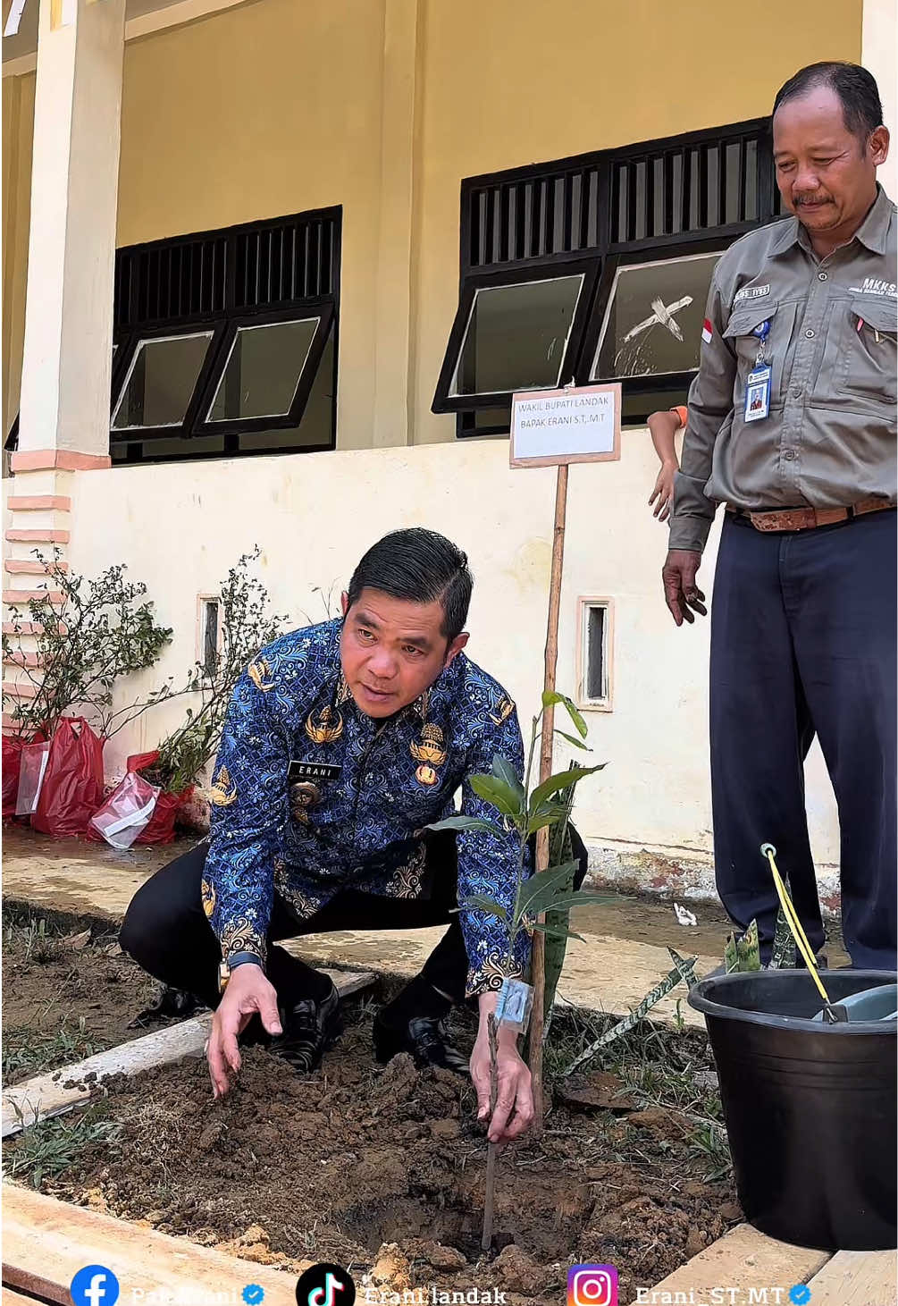 Penanaman dan Penyerahan Bantuan Bibit Tanaman di SMPN 10 Sengah Temila  #kabupatenlandak #erani #landakhebat 