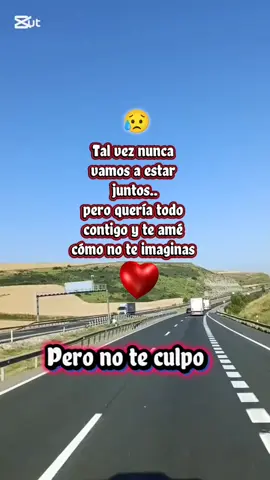 #amorincorrespibdodo #requinto #ositopareo❤️💕 #parati💕🤗😘 