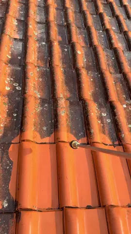 🧼 #pressurecleaning #roofing #sydney 