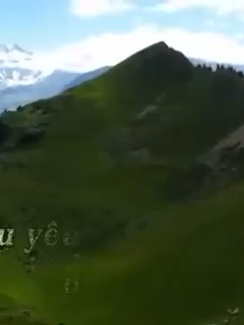 Vó Ngựa Trên Đồi Cỏ Non (NS: Giao Tiên)#tuanvu #nhachaymoingay