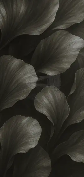 عقد قران ندى🤍|35﷼ #تصميم_دعوات_الكترونية #fyppppppppppppppppppppppp #بشارة_الكترونية #اكسبلورررررررررررررررررررر #السعودية 