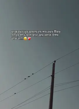 মানুষ যখন খুব অসহায় হয়ে পরে তখন নীরবে চোখের পানি ফেলা ছাড়া আর কোনো উপায় থাকে না...!😅❤️‍🩹