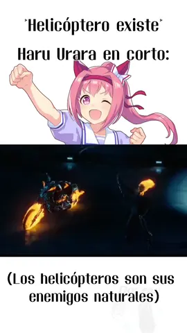 los helicópteros son sus enemigos mortales  #umamusume #umamusumeespañol #umamusumememes #haruurara #umamusumeprettyderby 