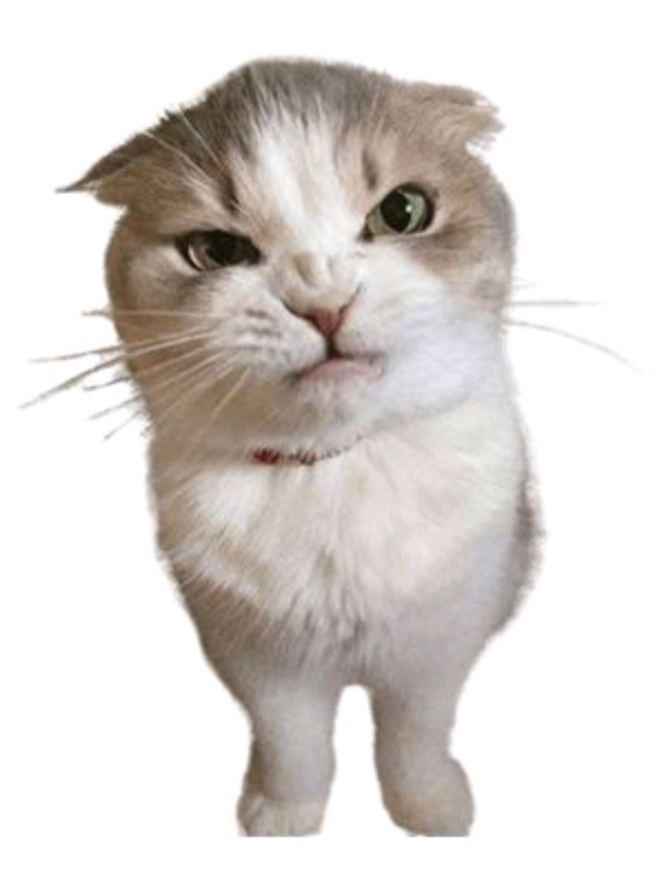 #noidea #dontoliver #lyrixs 