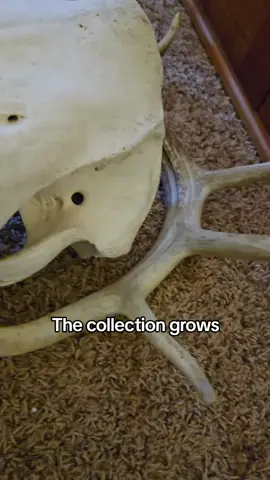 and theres more cleaning