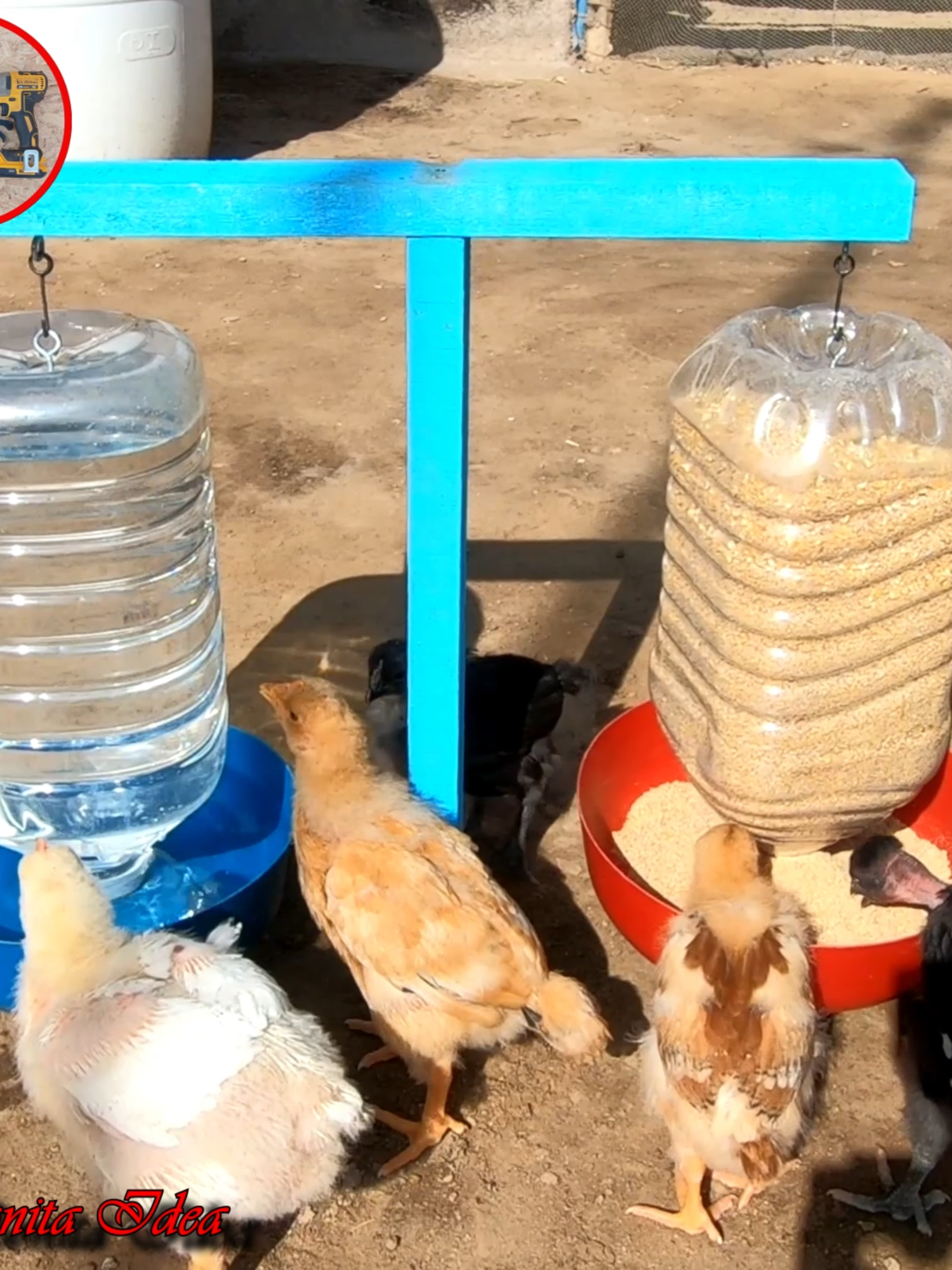 Mira‼️ como hacer este Comedero y Bebedero Automático para criar a tus Pollitos 🐥🐓 hecho solo con materiales reciclados♻️♻️.