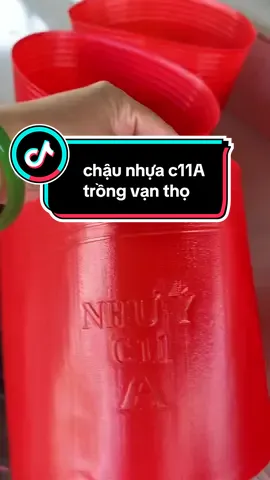 chựa nhựa dẻo trồng hoa tết c11a ( 28x23 ) #chaunhuatrongcay #chautrongcay #chaunhua #chautronghoa 