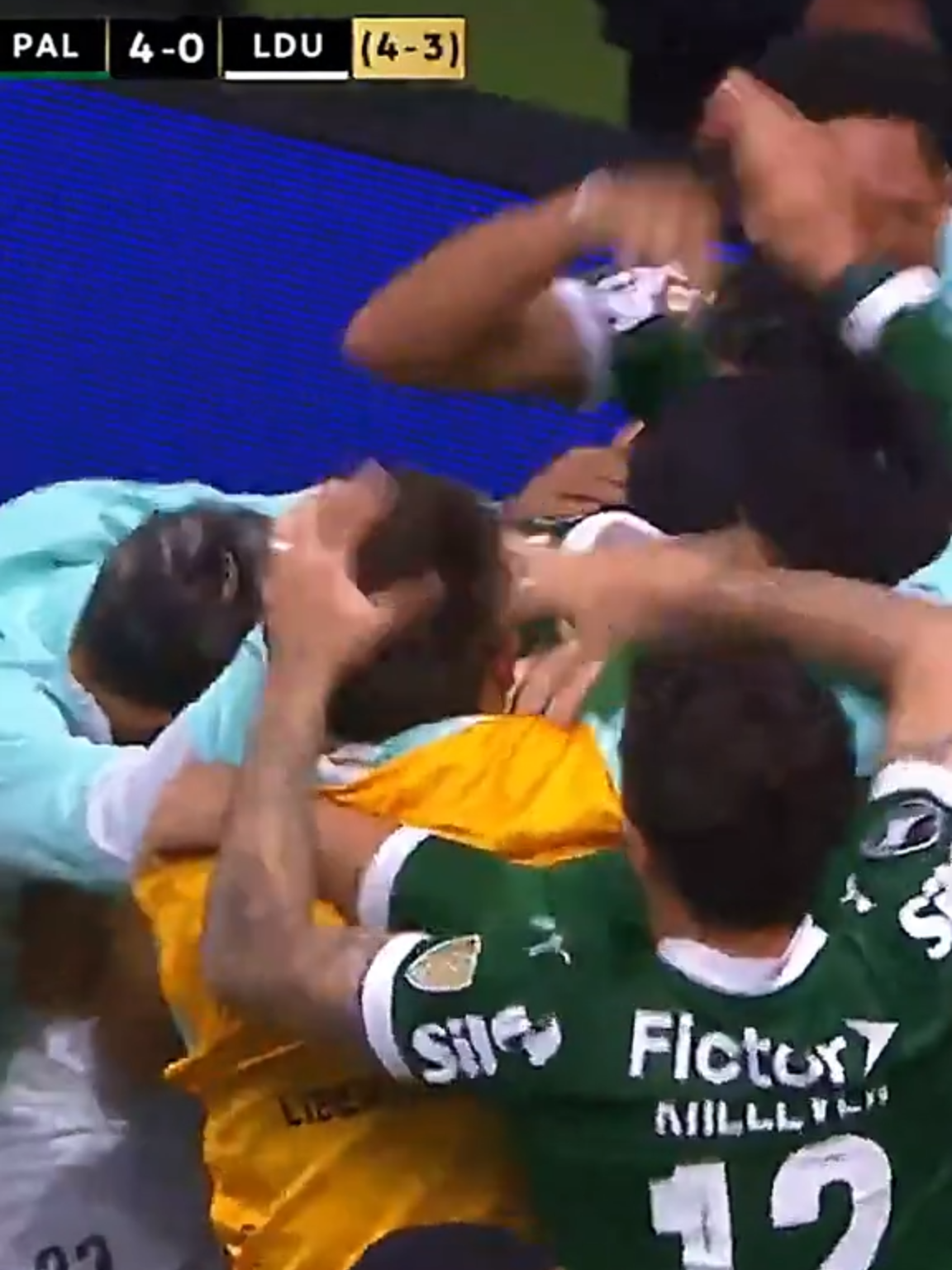 Vitória esmagadora do PALMEIRAS por 4 X 0 em cima da LDU #palmeiras #copalibertadores #futebol #ldu #futebolbrasileiro #flamengo