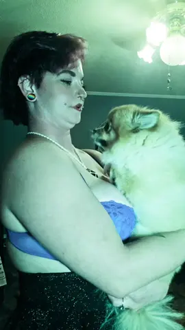 #bloopers @Mishka The Pomeranian bloopers 