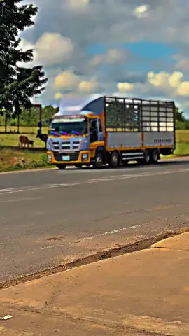 #CapCut ທີມງານໄກ່ດ່ວນ ບ່າວໂພນທອງ##