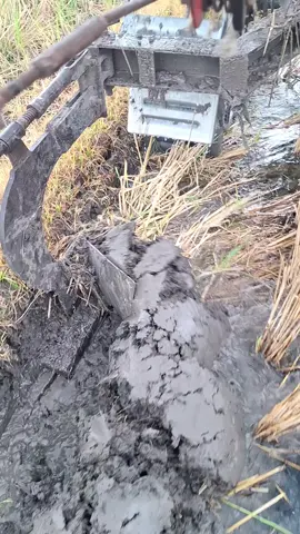 jumat berkah woo#tanibalapteam #traktor #kubota #petanimuda #petaniindonesia🇮🇩🇮🇩🇮🇩🌿🌿 