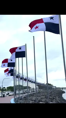 La bandera más bonita del mundo 🇵🇦#panama🇵🇦 #pty🇵🇦 #pty507🇵🇦 #noviembre #vivapanama🇵🇦 