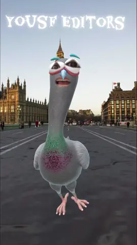 serpo kacha layne gya tha ajj es lieyah yousf ki live per nahi aya 🤣#mrpattlo #leader #pind #kashmiri #viraltiktok 