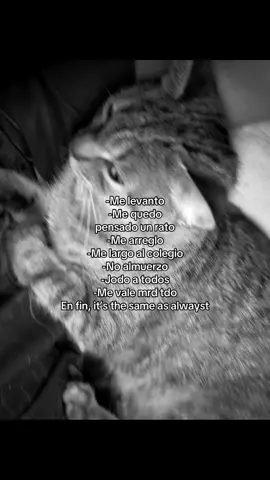 #🫩 #lit #paratiiii #viral 🫩🫩