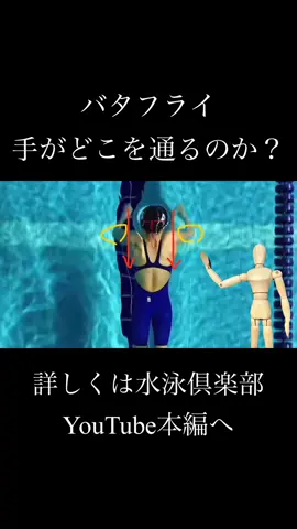 #水泳 #バタフライ #競泳 #解説 #ユーチューバー 