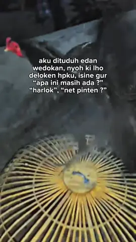 #CapCut wong kok ora percoyo aku blass noo🐓🎶