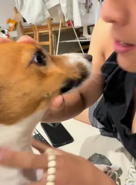 When I suddenly kissed the dog #funny #dog #funnydog #cutedog #tiktok #dogsoftiktok #foryou