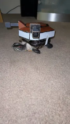 Blastoise🌊#fyp #turtle #pokemon #blastoise 