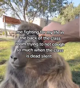 I'm actually so sick of ppl today in class i coughed so  loud and shit some random told me if i was ok i agreed with them until i saw them trying not to laugh so hard with there friends 🫩 #fyp #cough #school #fypviral #monkey 