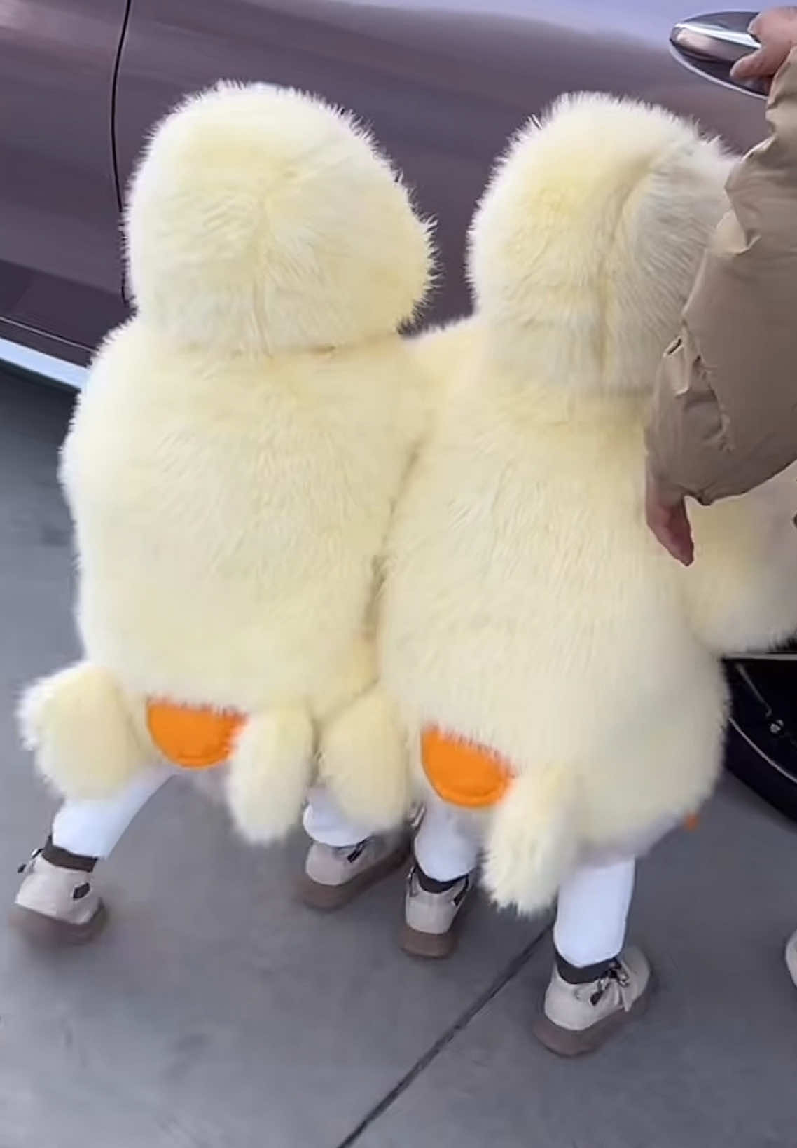 Áo khoác lông vịt vàng cho bé 🐥 #aokhoacchobe #aokhoaclongchobe #aokhoac #aokhoacvitvang #aokhoactreem 