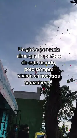 #fyp #1denoviembre #tiktokviralvideo