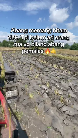 D lahirkan d didik secara keras bukan untuk jadi pemalas #bajaksawah #kubota #petanimuda #petaniindonesia🇮🇩🇮🇩🇮🇩🌿🌿 #xyzbca 