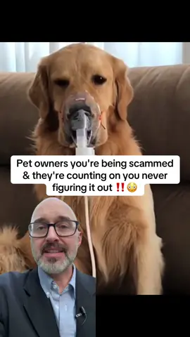 pet owners you're being scammed and they're counting on you never figuring it out.. #PetsOfTikTok #veterinarian #usa #petowner #petlover 
