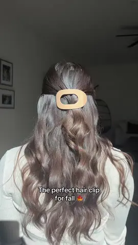 The most stunning hair clips for fall that you can wear while driving 