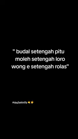 pelociti #fyp #velocity #4u 