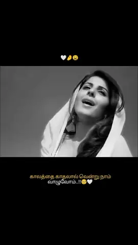 🤍✨ #tamilsong #tamil #trending #typ #ty 