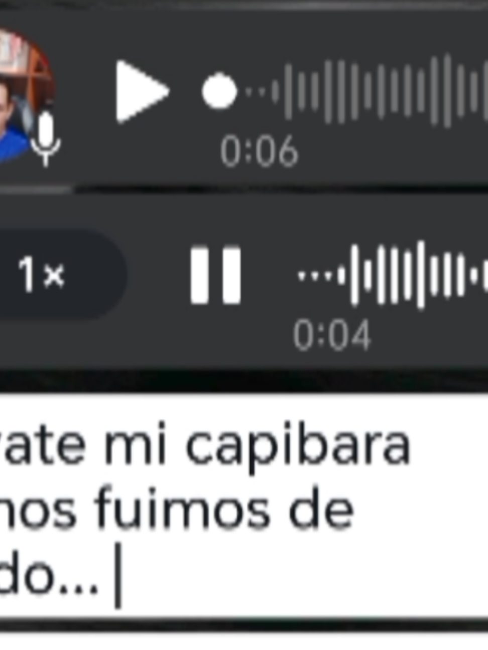 #audioswhatsappecuador #activatemicapibara #nosvamosdeferiado #foryou #feriadoecuador🇪🇨 iadoecuador 
