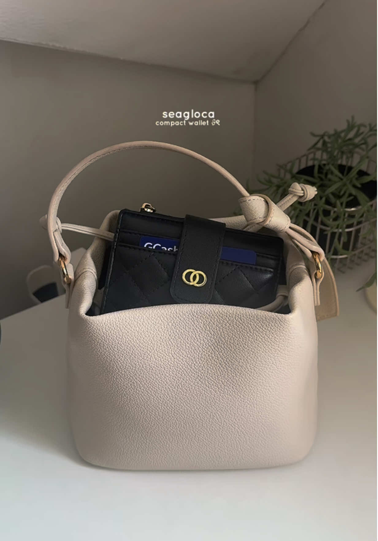 fav wallet from seagloca 💌 #seagloca #wallet #walletforwomen #miniwallet #seaglocawallet 