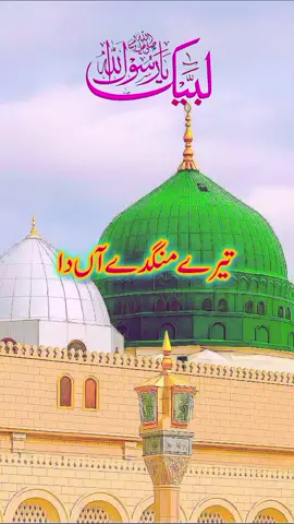 تیرے منگدے دا رتبہ کمال ♥️🤩#ForYou #ForYouPage #Viral #Islamic #Video 
