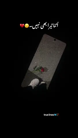 Lines 😔 #its_Raju_03 #fyp #foryoupage❤️❤️ 