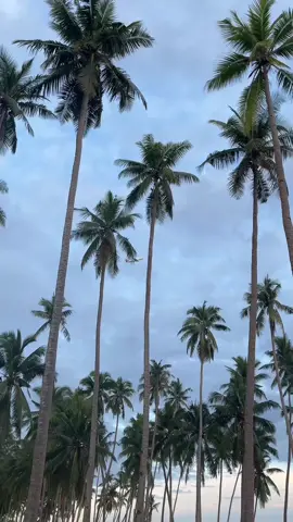 Siargao❌ Bohol✅ bisitaha ko ninyos bay ha kay modong ta ani kay likod rani amoa HAHAHAHAHAHA #fypシ゚ #foryoupage #fypviralシ #fyp 