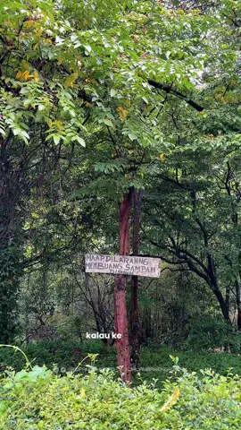 Kalo ke Bandung tapi belum cobain jalan santai ke Lembur Katumbiri, kalian harus cobain sih karna selain olahraga kalian juga bisa wisata kuliner juga disini. Buat penginapannya aku rekomendasiin RedDoorz Near Simpang Dago 2 selain lokasinya yang strategis, ini juga nyaman banget buat istirahat. Aku bookingnya via aplikasi RedDoorz biar makin mudah dan makin hemat kalo pake kode promo 