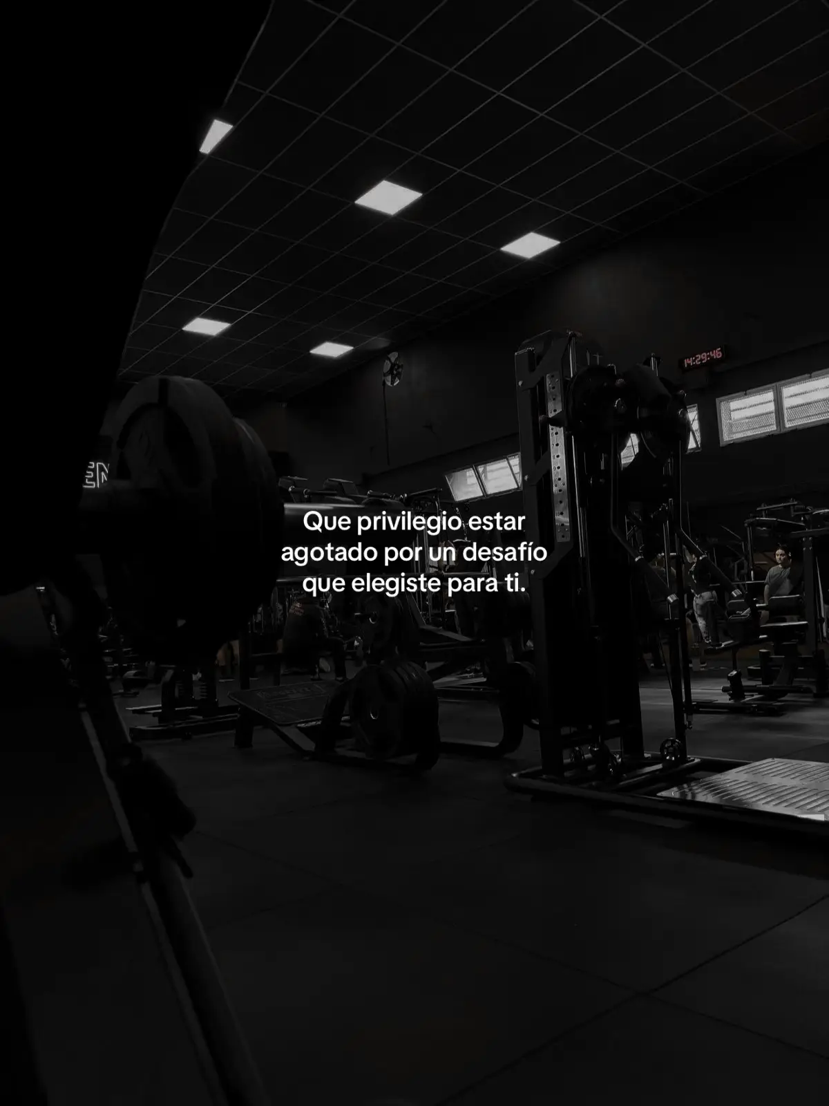 #fyp #motivation #gym 