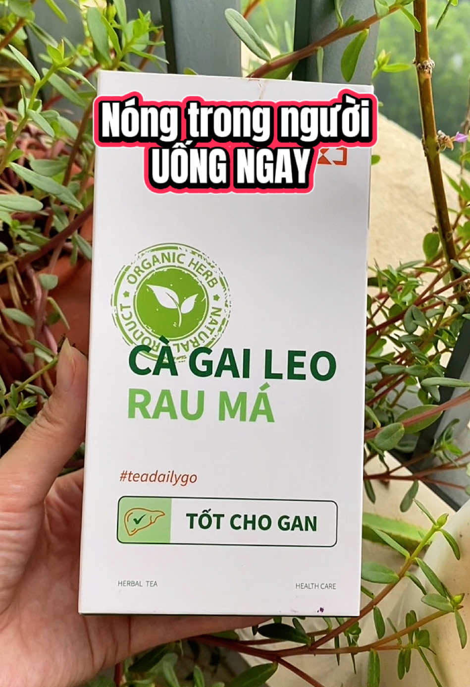 Mỗi ngày làm 1,2 ly, nóng trong hay mụn nhọt là bay hết #tracagaileorauma #cagaileorauma 