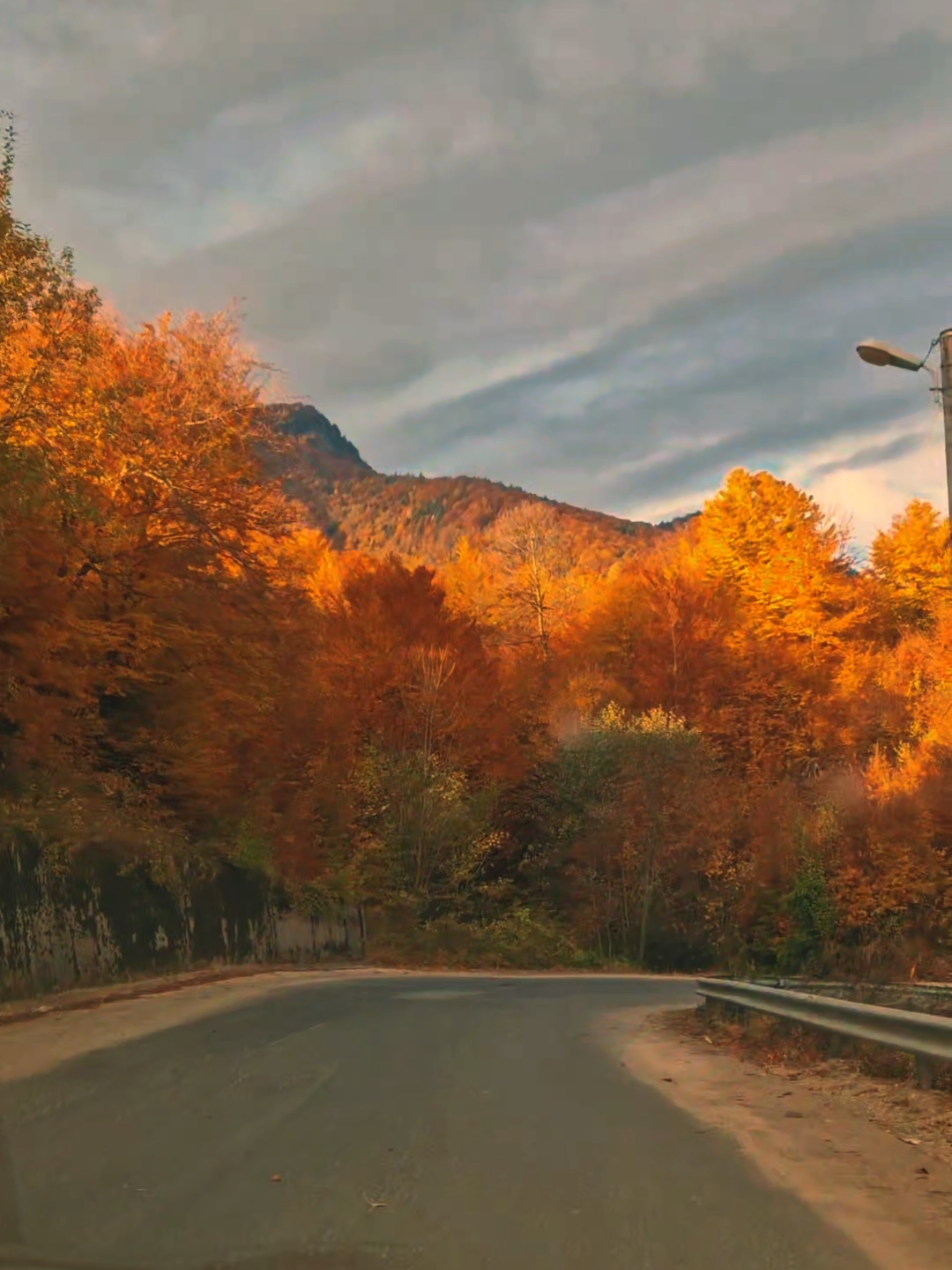 #CapCut #octombrie #sfarsit #2025 #foruyou  Încă o lună a ajuns la sfârșit.  La revedre Octombrie ! Mulțumim că ne-ai bucurat cu frumoasele tale culori și bine ai venit Noiembrie așteptăm să vedem ce ne-ai pregătit. 🤎 