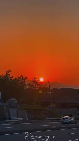 ~❤️~ . . . . . #srilankanjapan🇱🇰🇯🇵 #nature #foryoupage #sunset 