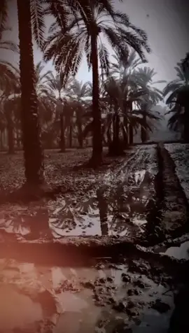 Kahin Je Range Hina Date_31/10/25 #1millionviewspleasetiktok #plz_support _me  #fyp #foryouforyou🌹🌹🥰🥰💕💕🥰🌹#fortoupage💔💔💔 